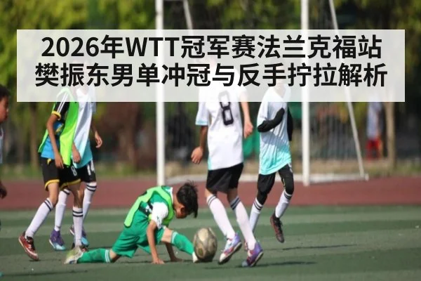 2026年WTT冠军赛法兰克福站樊振东男单冲冠与反手拧拉解析 | ayx